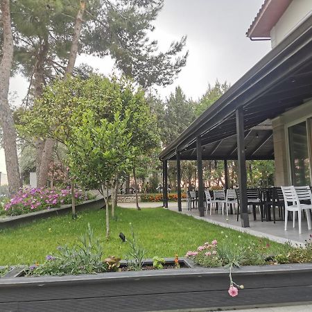 Hotel Pelikan Divjake Exterior foto